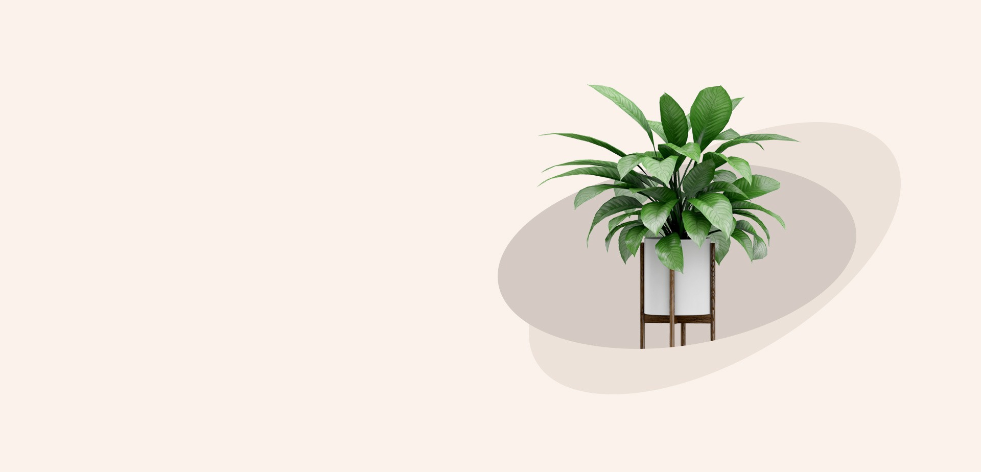 Image Slider