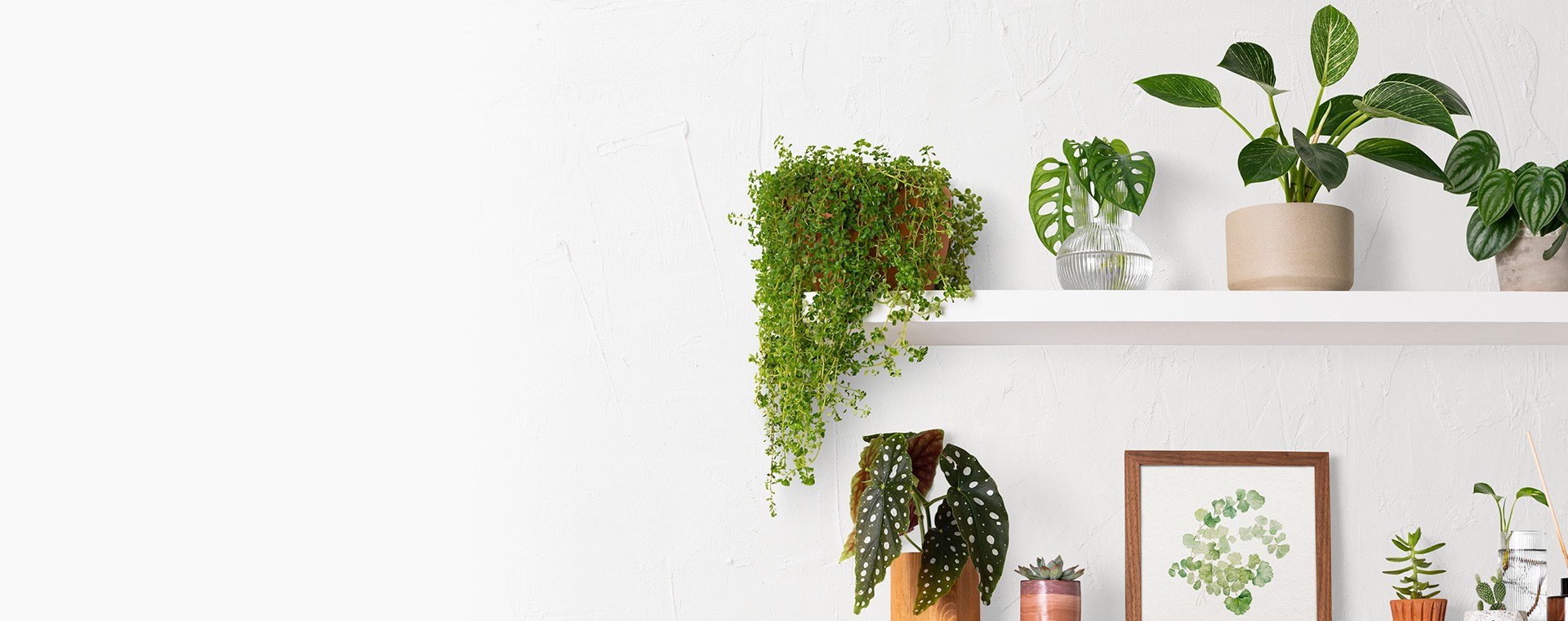Image Slider